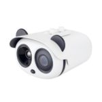 Биспектральная камера для измерения температуры DCTM-108